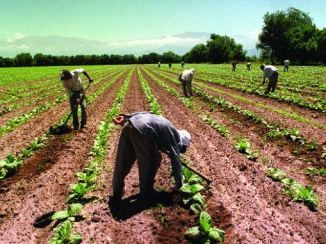 Día del Trabajador Rural