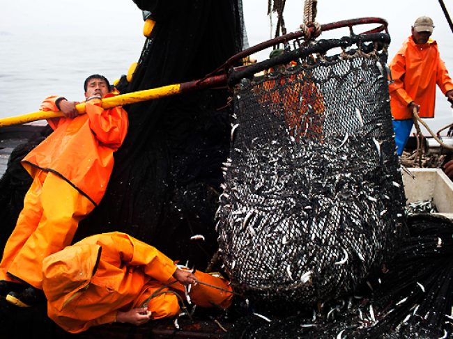 Día del trabajador de la Pesca Industrial