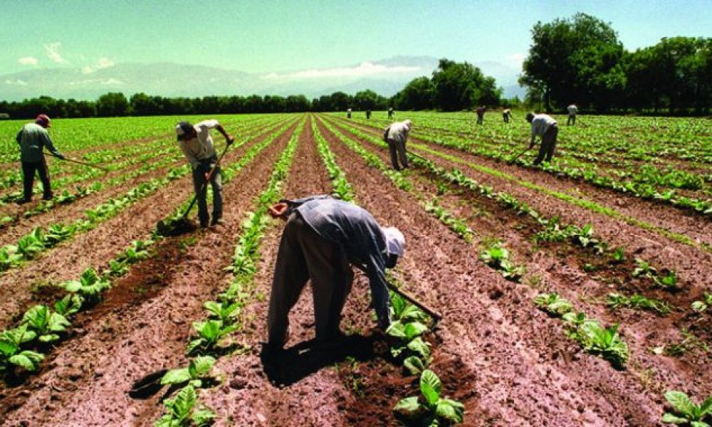 Día del Trabajador Rural